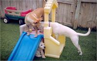 daycare pic 33 - play time